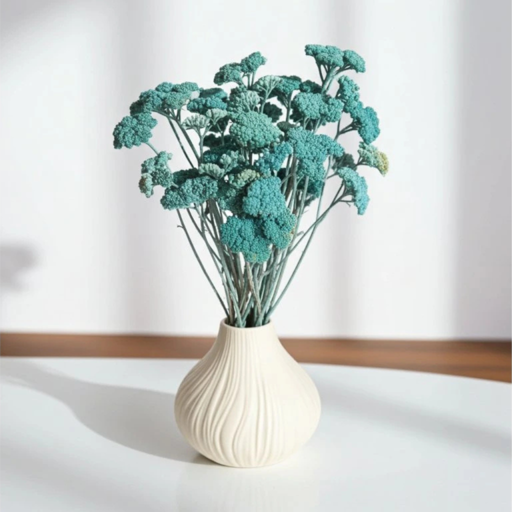 Sušená Achillea (Řebříček) v odstínu aquamarine - detailní pohled